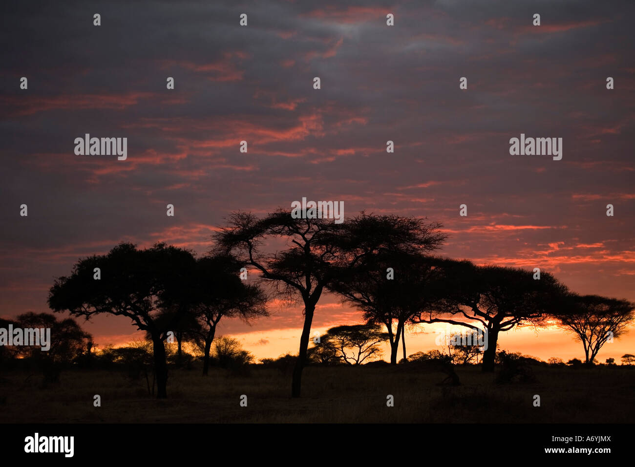 Sunset in Africa Stock Photo