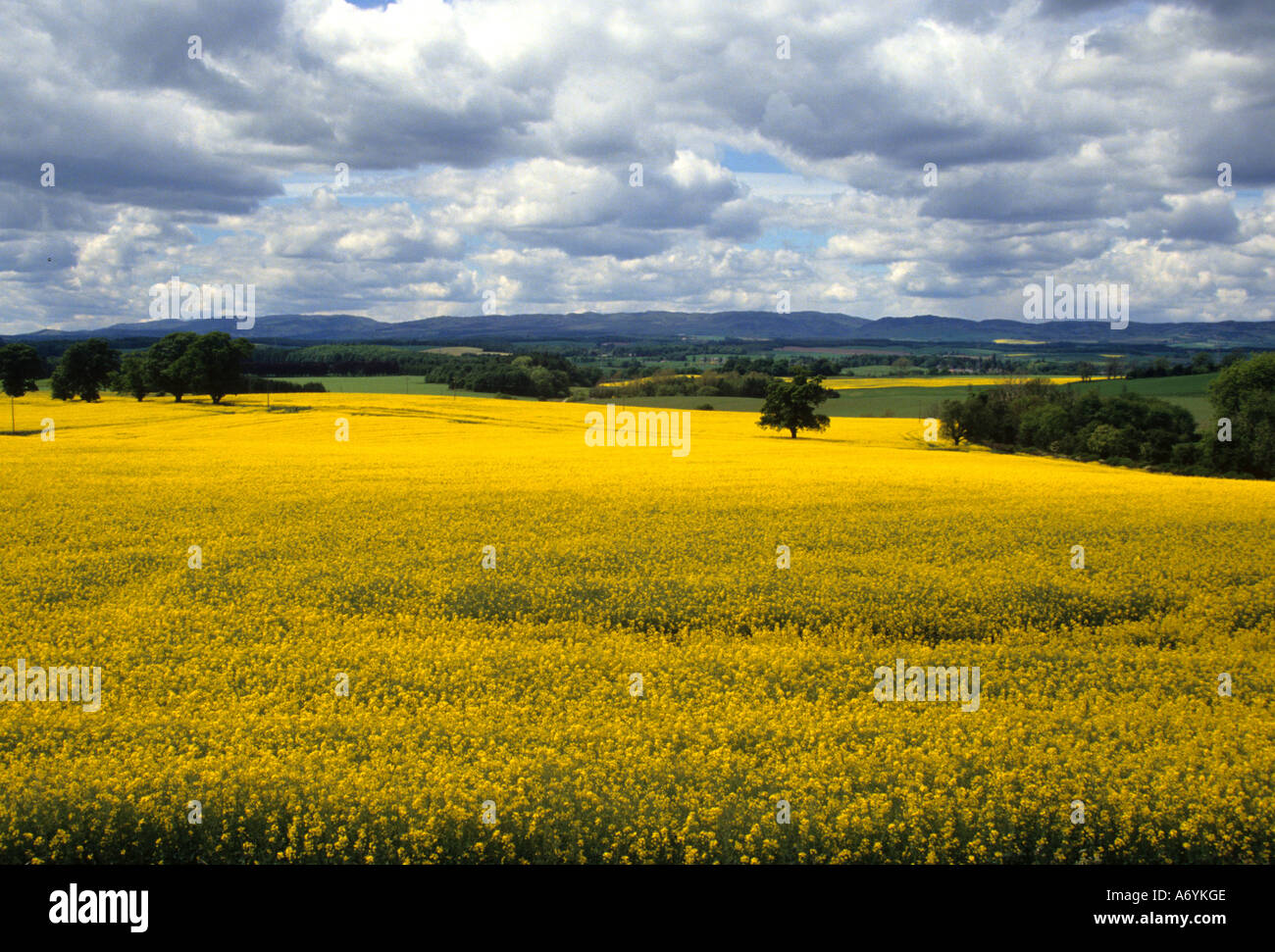 England farmer field hires stock photography and images Alamy