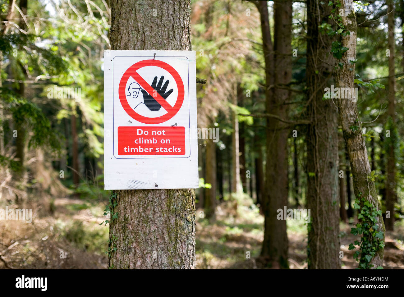 No Timber Sign Do not climb on timber stack sign in Idless wood, Cornwall Stock Photo ...