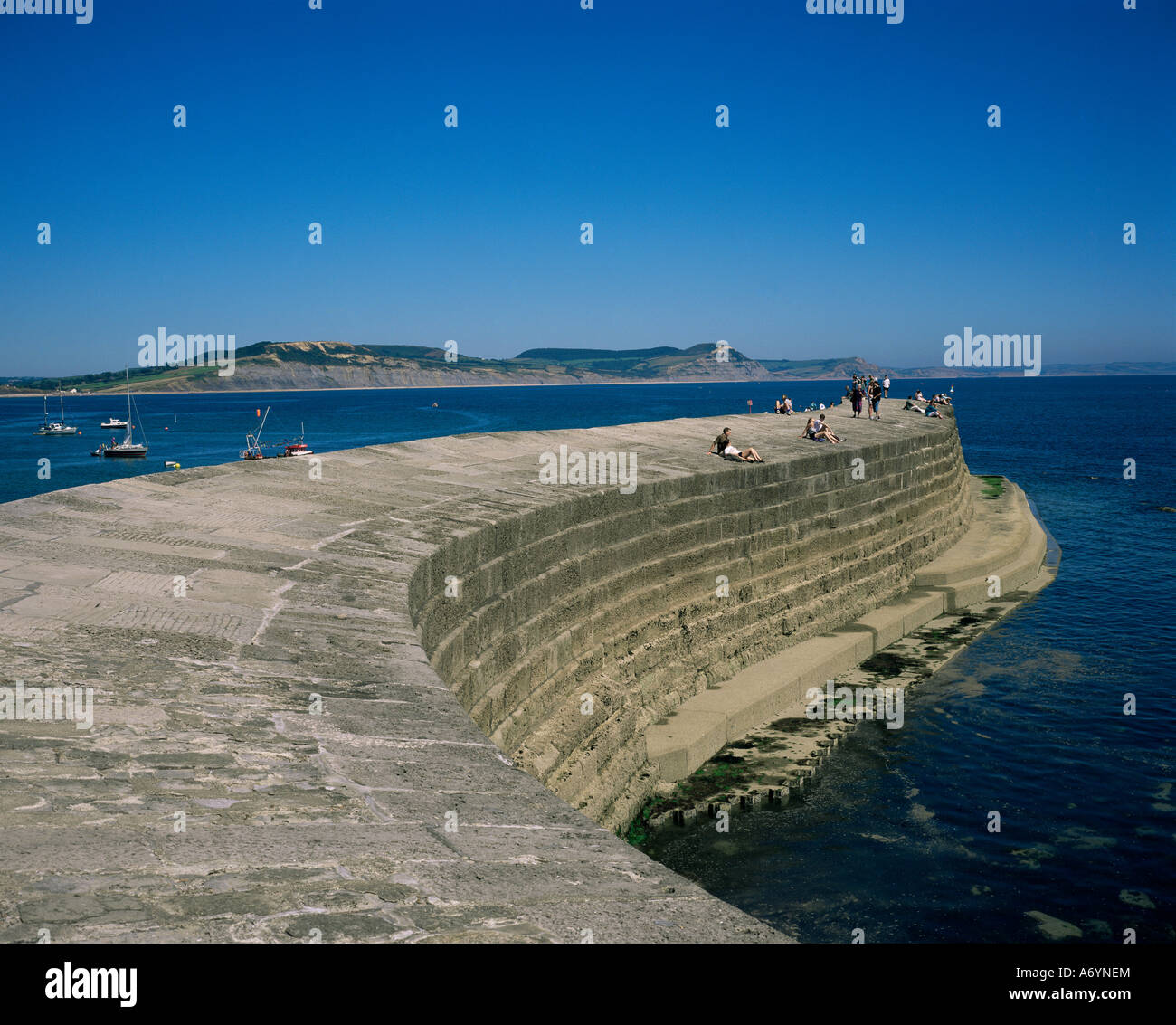 Cobb Quay The Cobb Lyme Regis Dorset England United Kingdom Europe