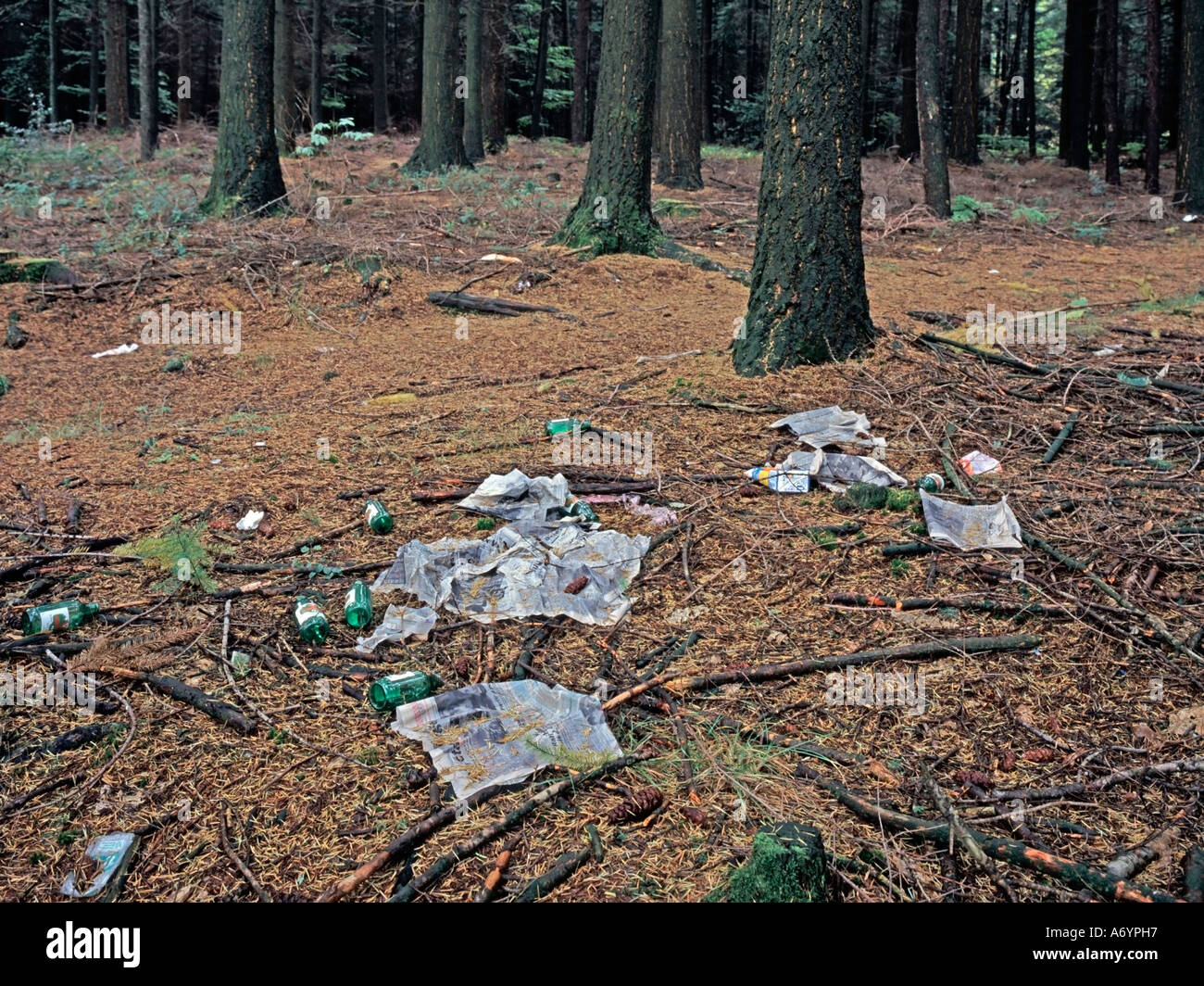 illegal waste disposal rubbish garbage trush in the nature Stock Photo