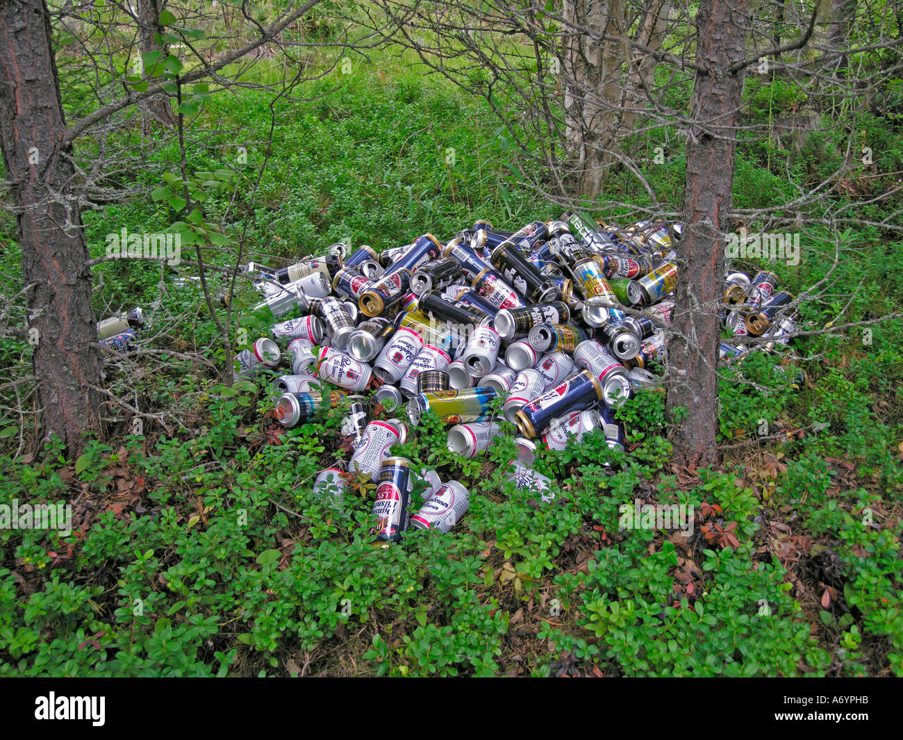 illegal waste disposal rubbish garbage trush empty beer tins cans in