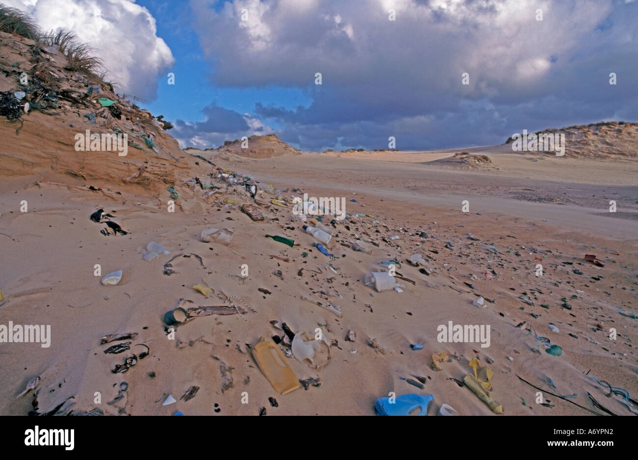 rubbish garbage trash on dunes on the beach of Atlantic ocean in France Stock Photo