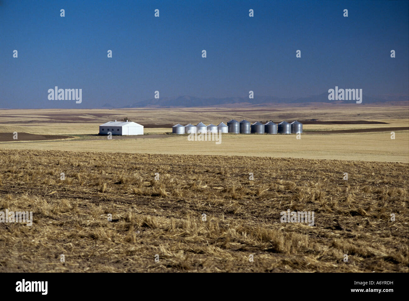Farm on the Prairies in Cascade Country Central Montana United States of America North America Stock Photo