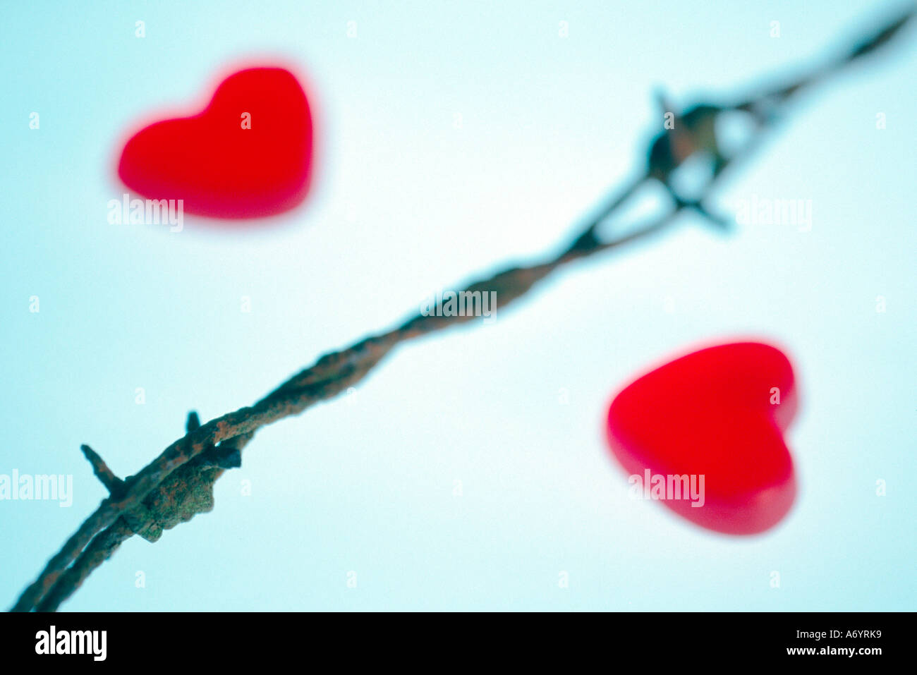 separeted hearts divorced hearts Stock Photo