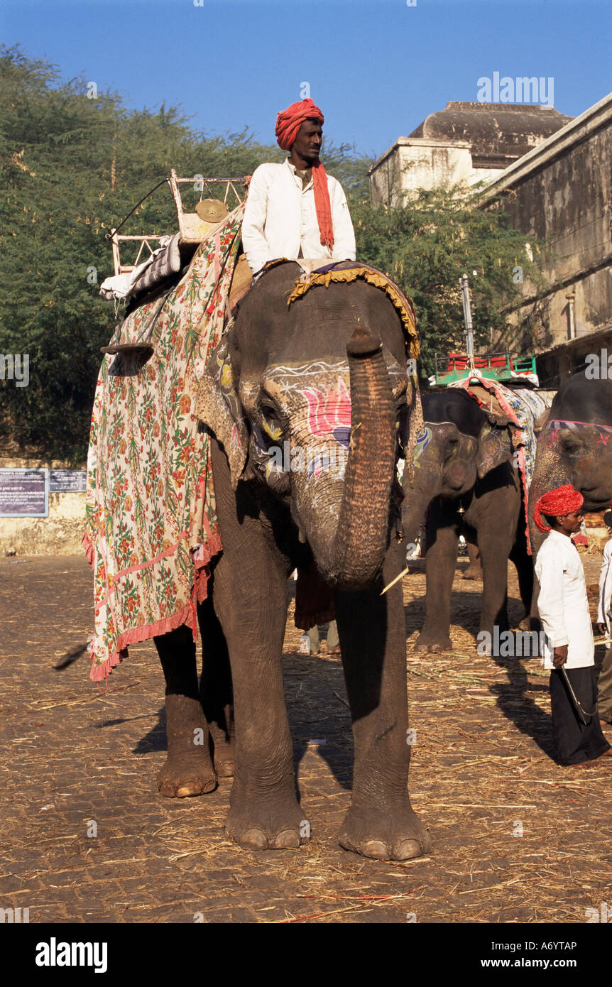 Elephant transport for tourists Amber Palace Jaipur Rajasthan state