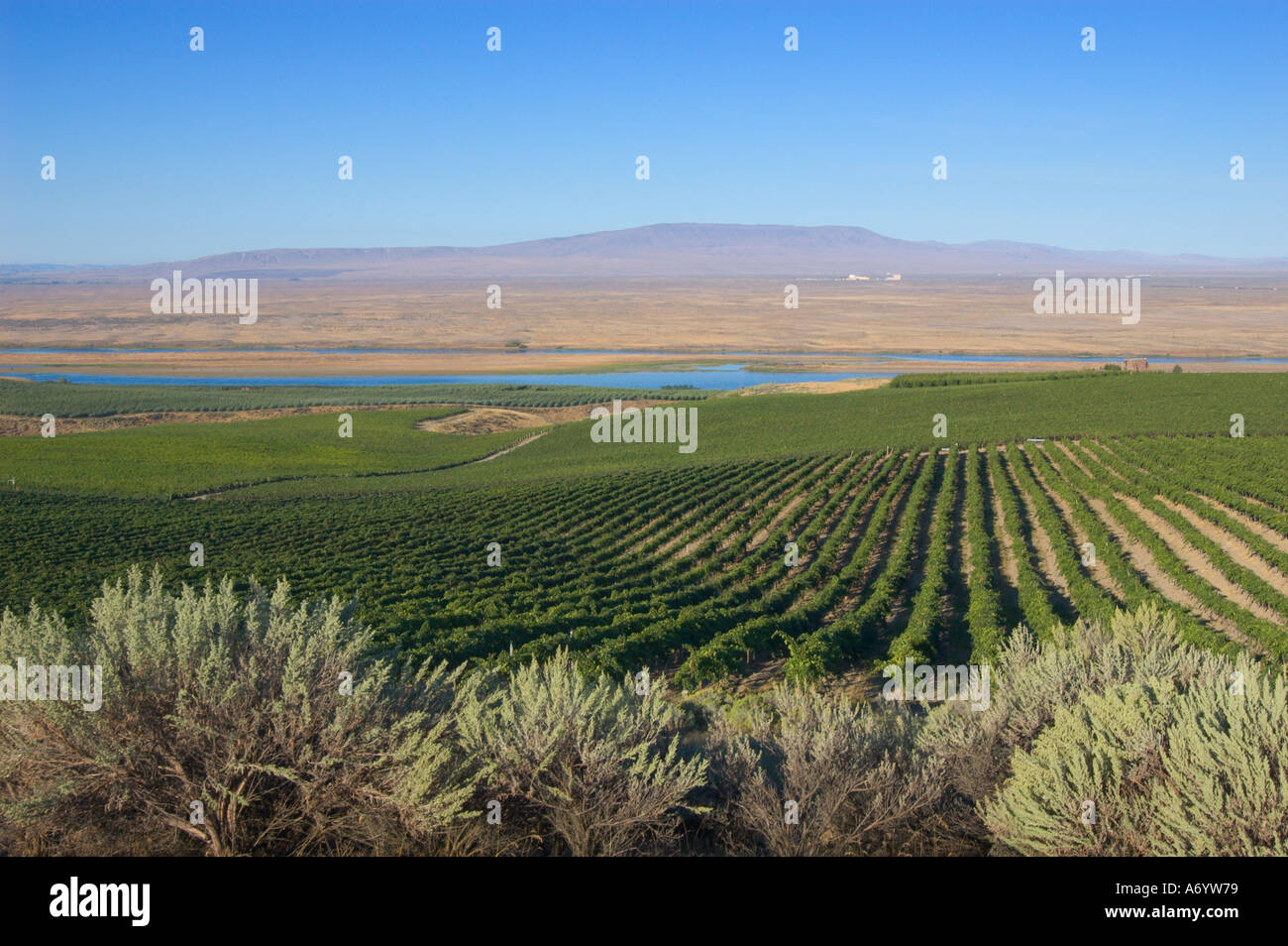 Rattlesnake mountain washington hires stock photography and images Alamy