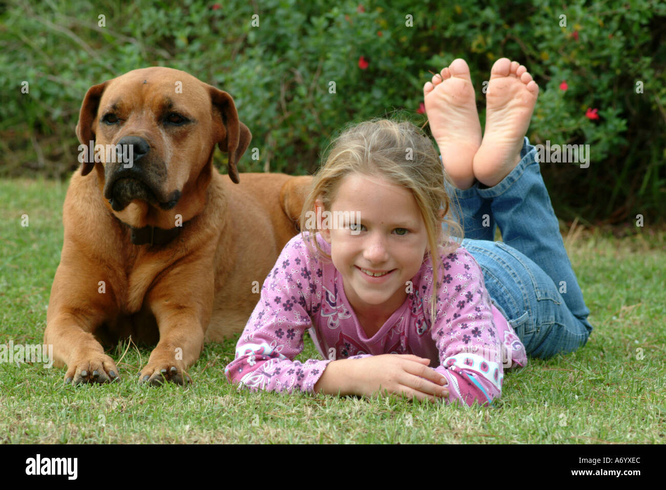 Little girl with her pet dog Stock Photo - Alamy