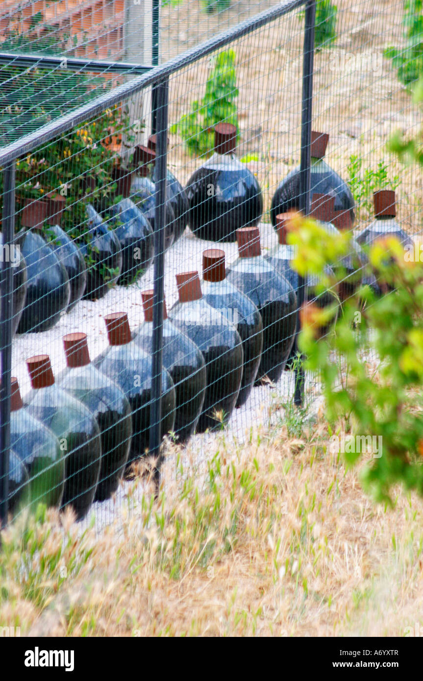 Glass demijohns with Banyuls sweet wine aging outside. Domaine la Tour