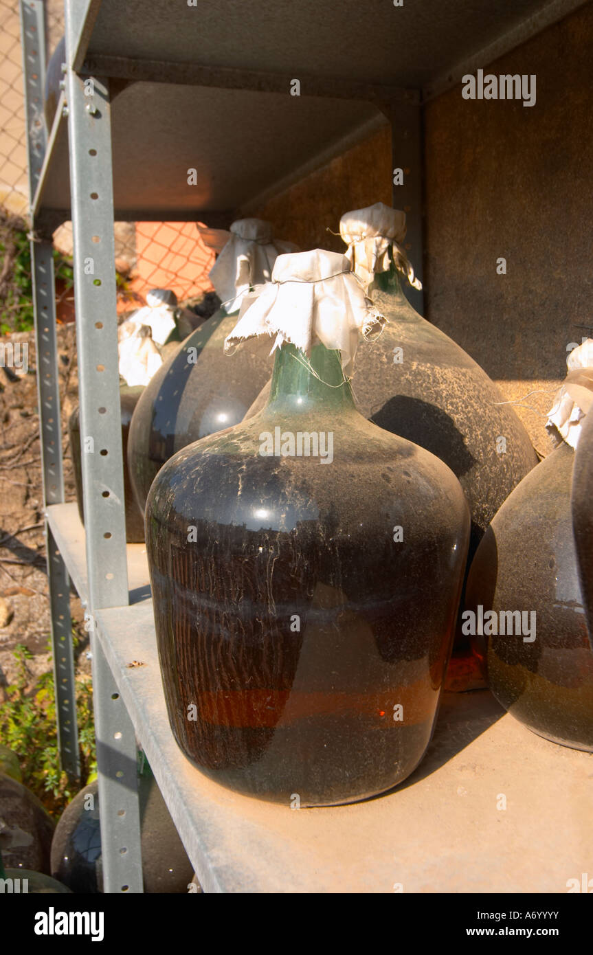 Banyuls wine aging in demijohn outside. Domaine PietriGeraud