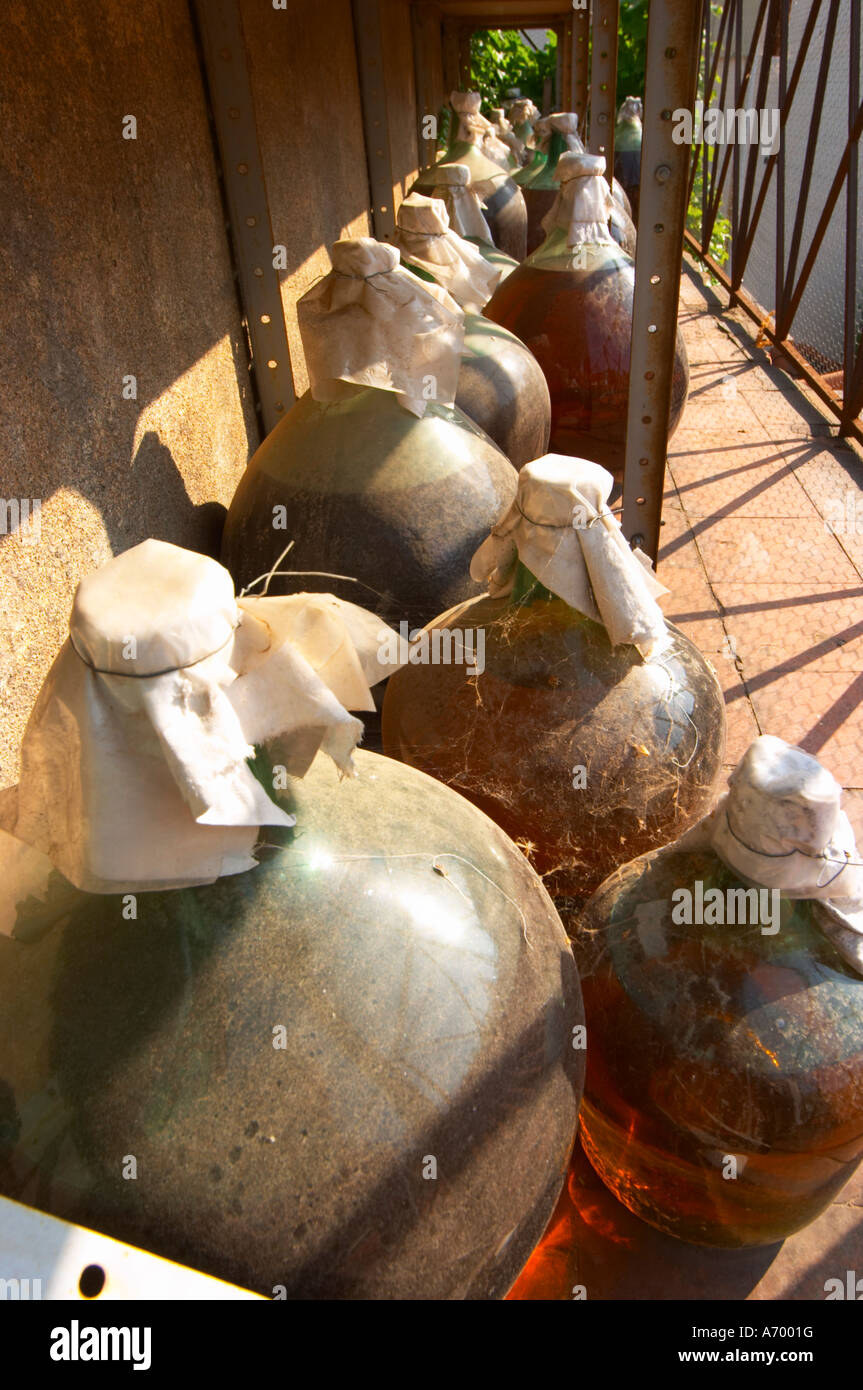 Banyuls wine aging in demijohn outside. Domaine PietriGeraud