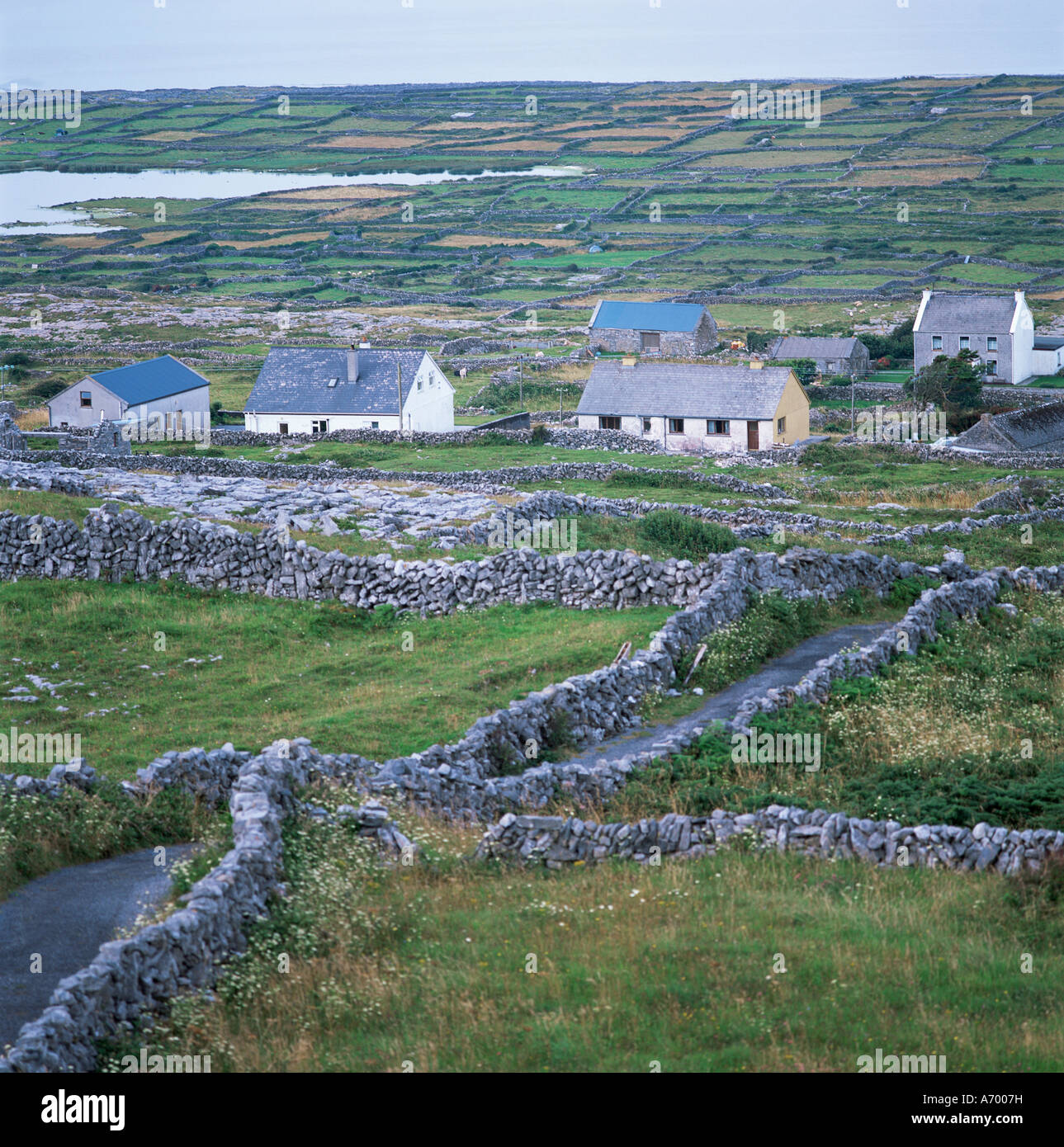 Concentric enclosure in An Carn Mór Thiar