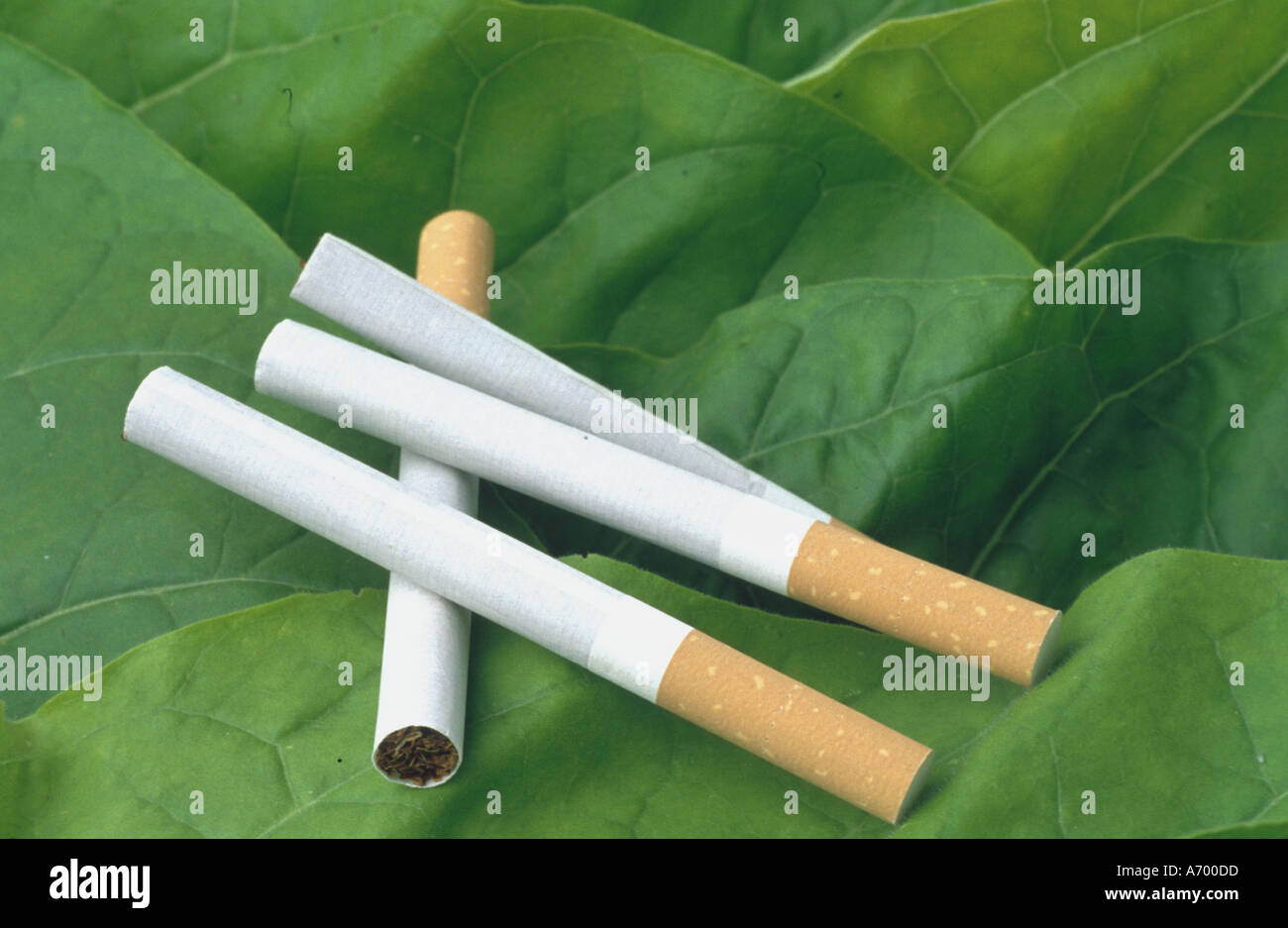 e cigarettes bad for health Health Effects | Vaping Information, Solutions & Interventions Toolkit