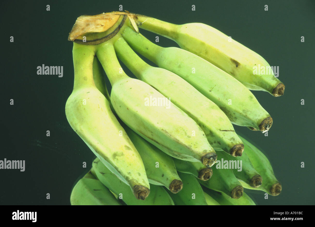 food fruit fruits exotic banana special kind green applebanana musa ...