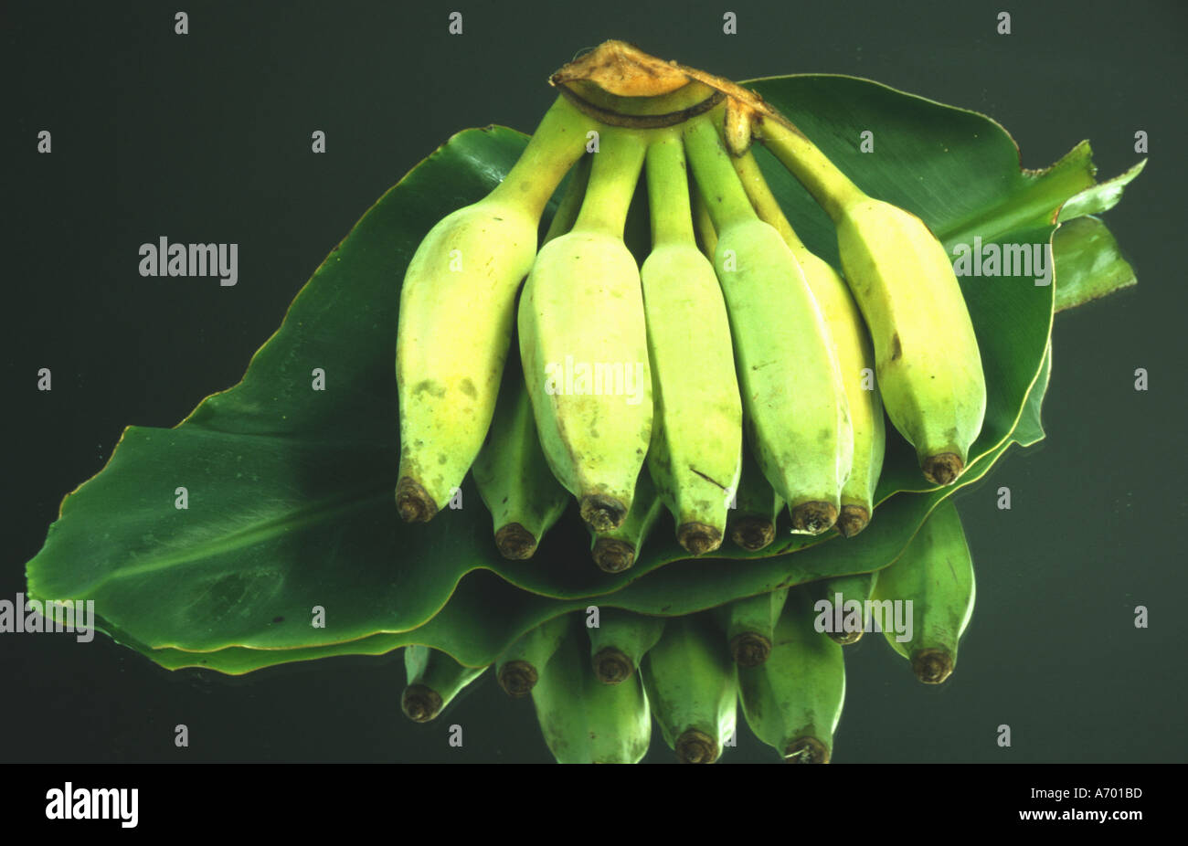 food fruit fruits exotic banana special kind green applebanana musa ...