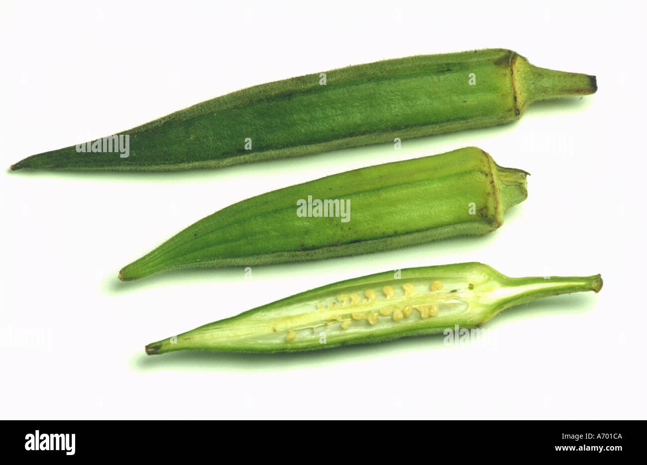 Okra Samen (Abelmoschus Esculentus) – Ca. 30 Samen, Alte Afrikanische Gemüsesorte