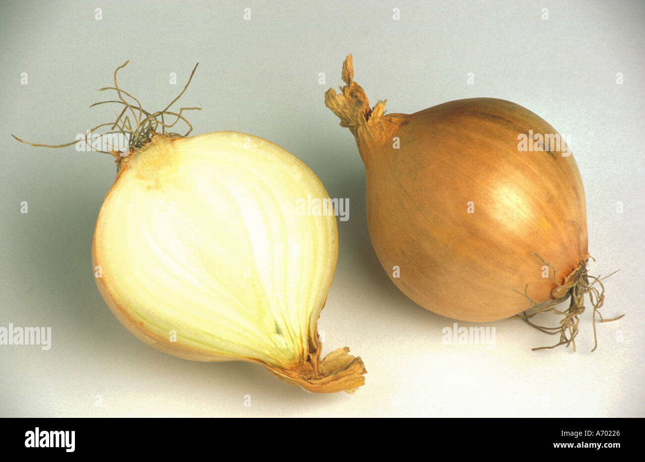 food fruit fruits vegetable onion onions Stock Photo Alamy