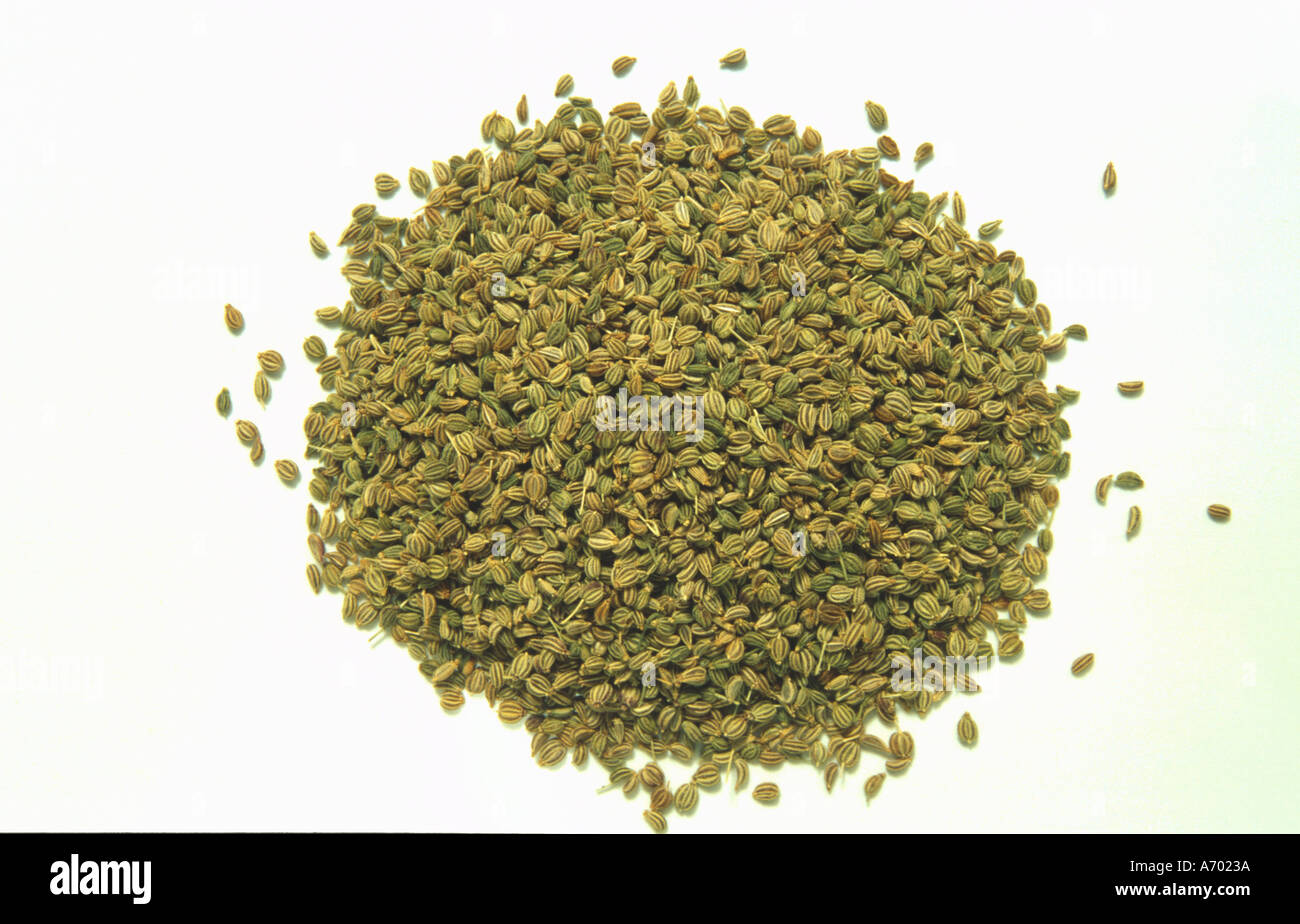 Ajowan hires stock photography and images Alamy