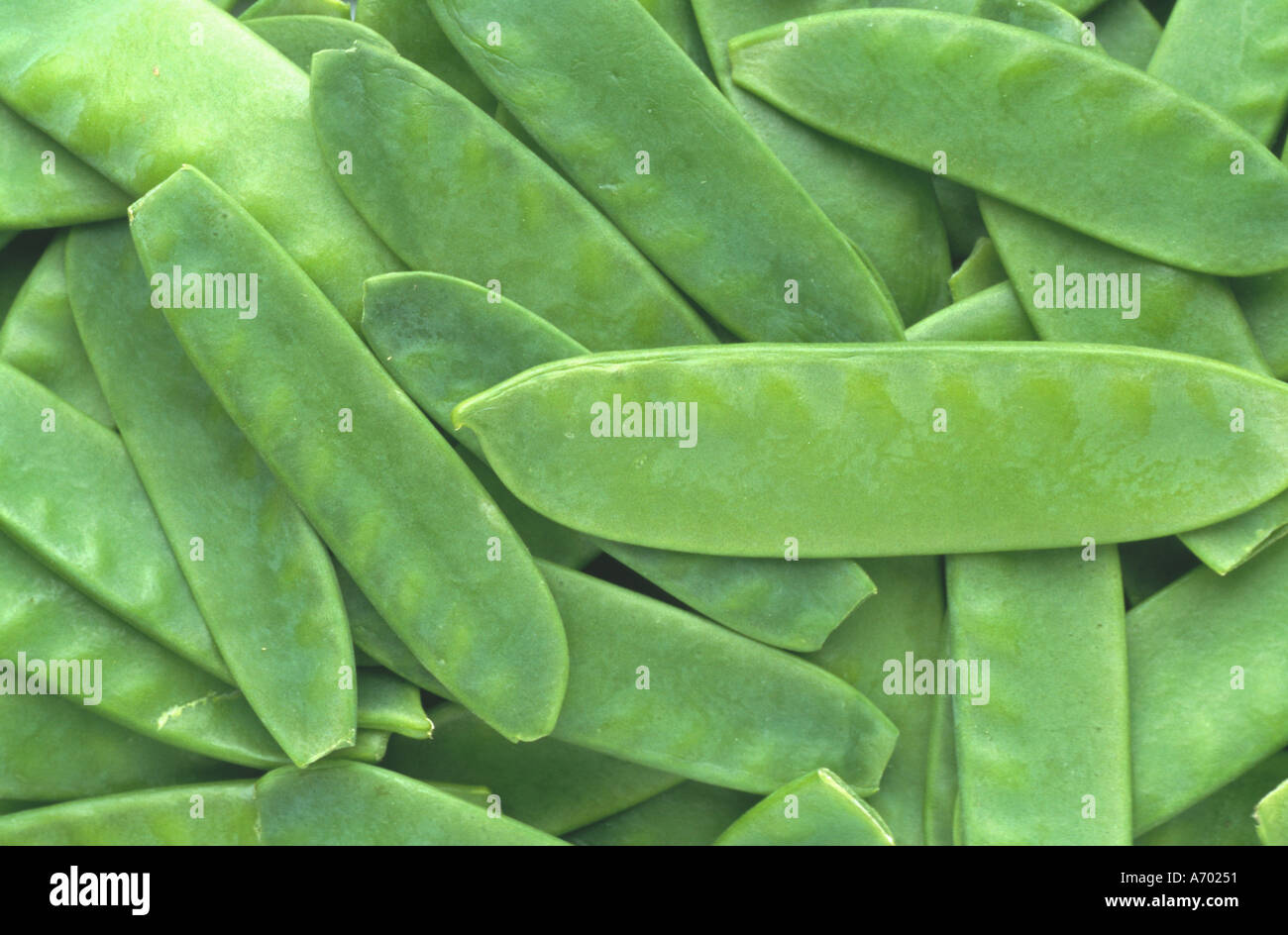 food vegetable peas sugarpeas sugar pisum saccharatum Stock Photo