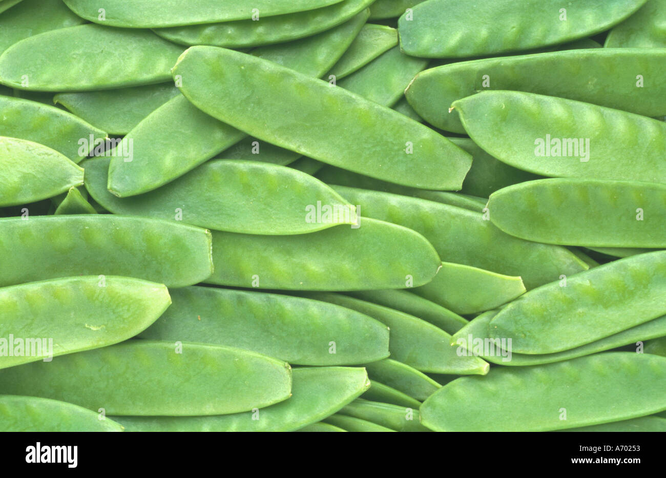 food vegetable peas sugarpeas sugar pisum saccharatum Stock Photo