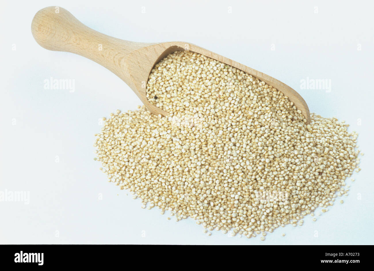 food cereals quinoa chenopodium quinoa Stock Photo