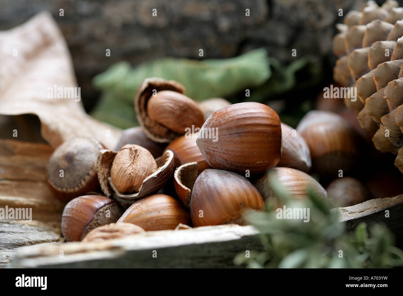 Hazelnuts on country setting Stock Photo Alamy