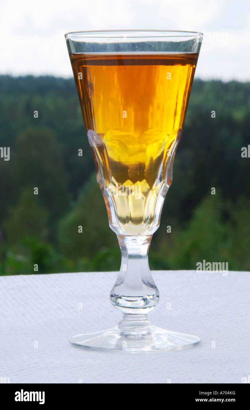 Swedish traditional aquavit schnapps glass in pointed form filled to the brim with spiced vodka, brannvin. Sweden, Europe. Stock Photo