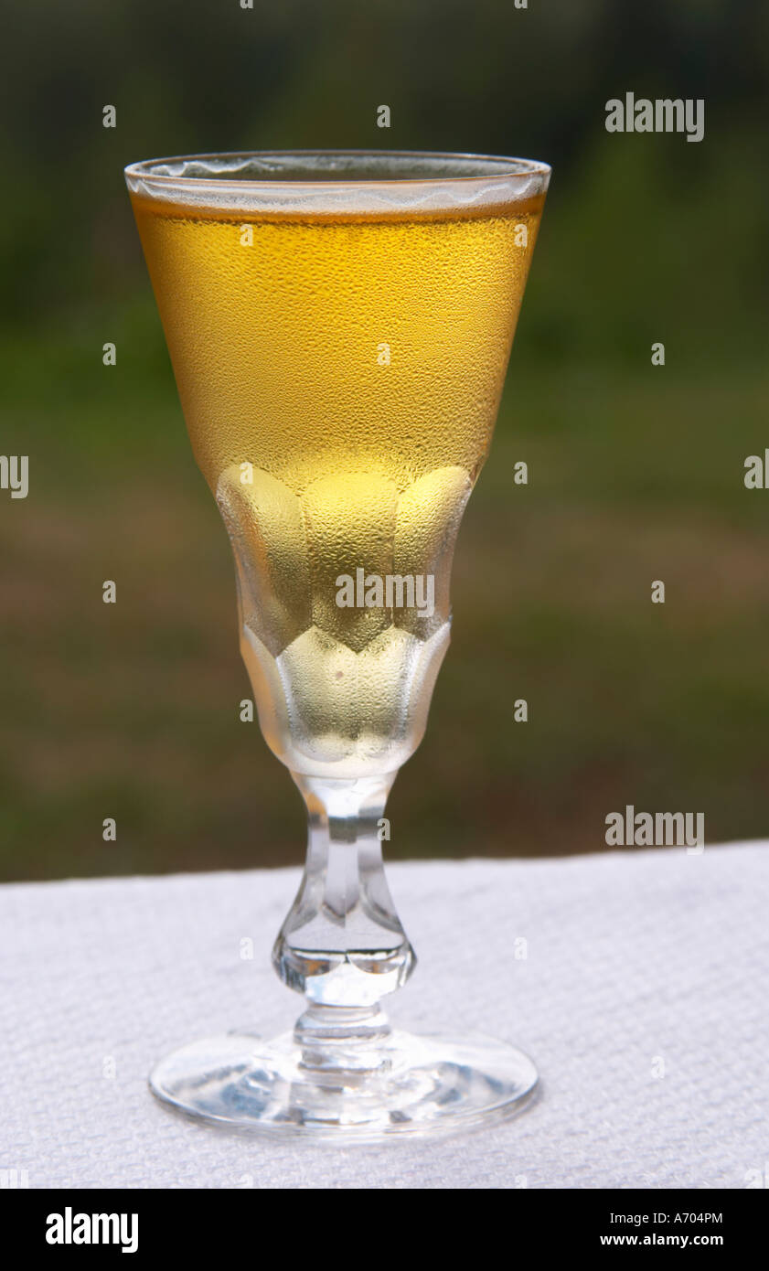 Swedish traditional aquavit schnapps glass in pointed form filled to the brim with spiced vodka, brannvin. Frosty ice cold drop Stock Photo