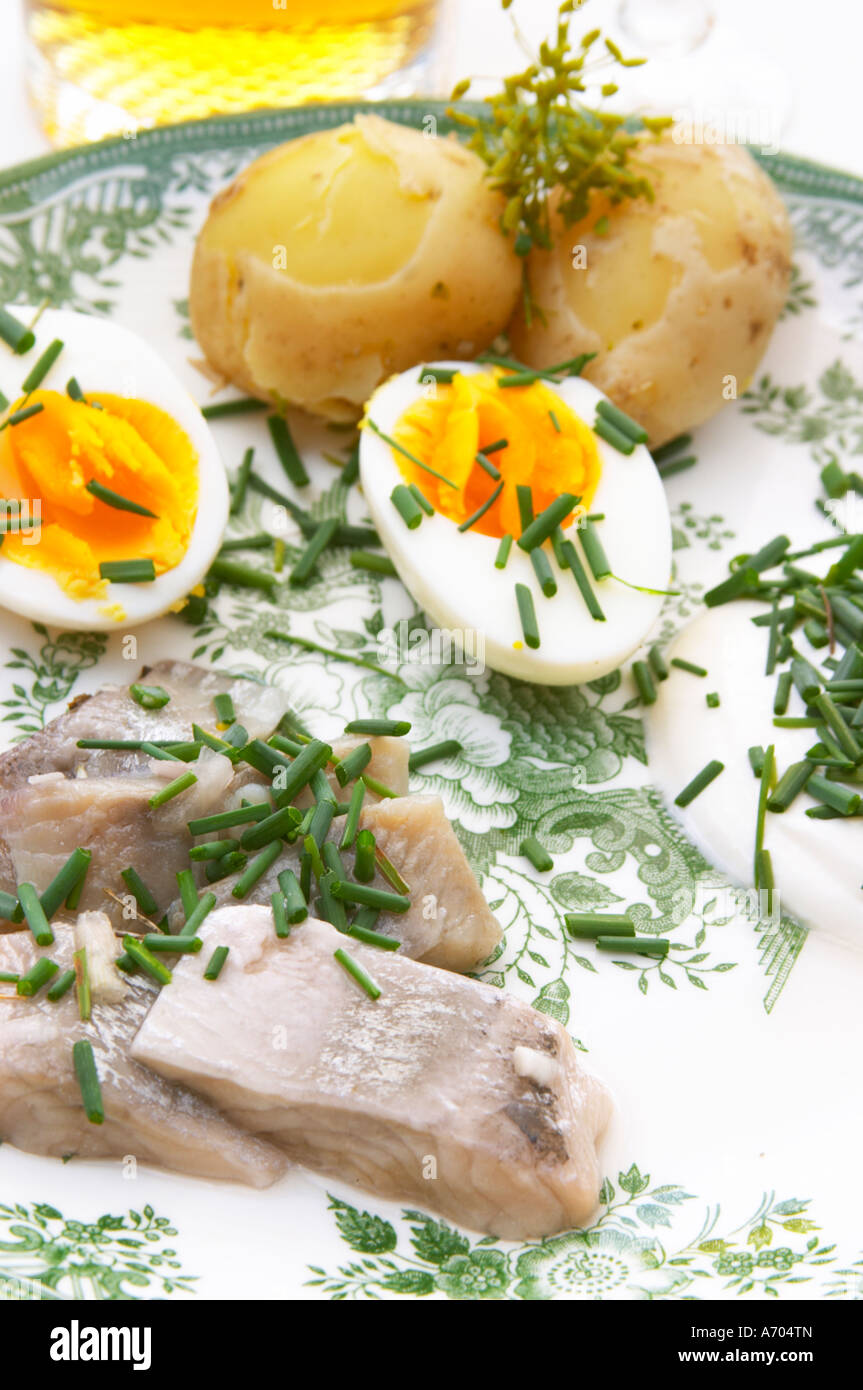 Traditional Swedish summer lunch with marinated herring sill, boiled