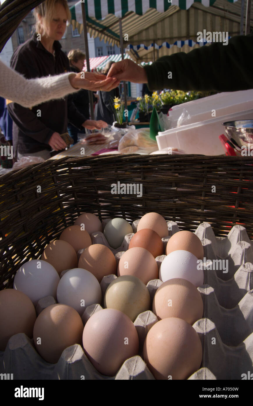 Kelso Farmers Market Scotland - eggs for sale from various breeds of hen Stock Photo