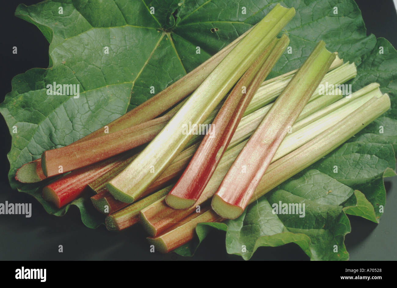 соевая спаржа фучжу. ревень ядовитый. спаржа кустовая. ревень красный. лук порей стебель.