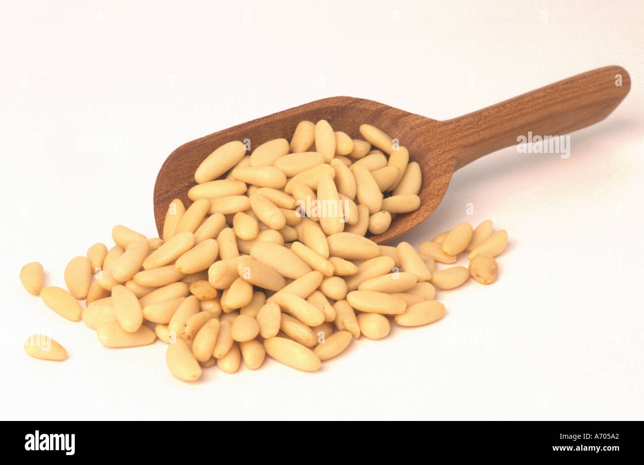 food pine kernels spice pine fruit nut pinus pinea peeled kernels for ...