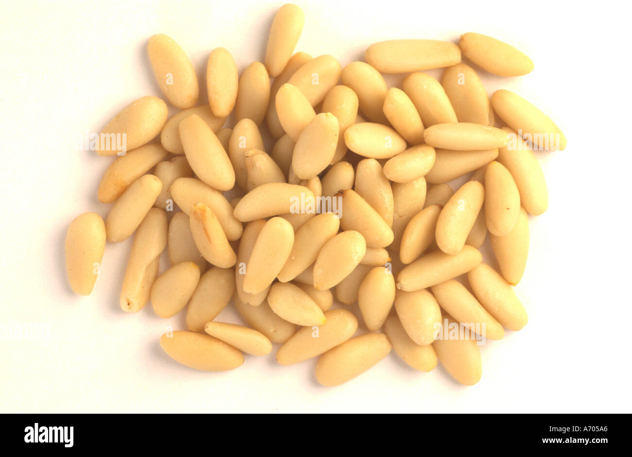 food pine kernels spice pine fruit nut pinus pinea peeled kernels for ...