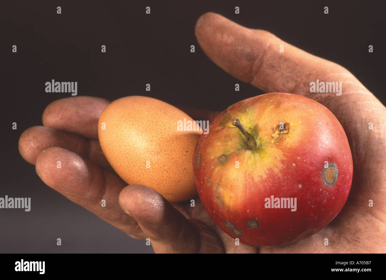 hand holding an apple and an egg buy something for a song Stock Photo
