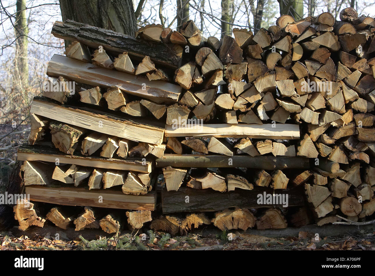 DEU, Federal Republic of Germany, firewood, 2 cubic meters Stock Photo
