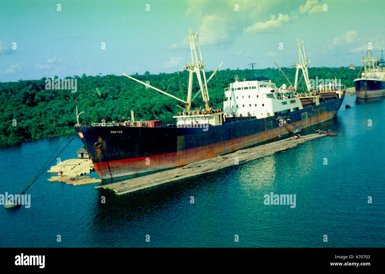 Freigther loading mahogany and afromosia logs Sapele Nigeria Stock