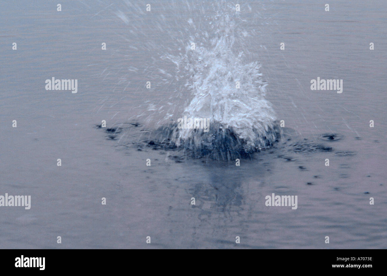 Water splash crown top hi-res stock photography and images - Alamy