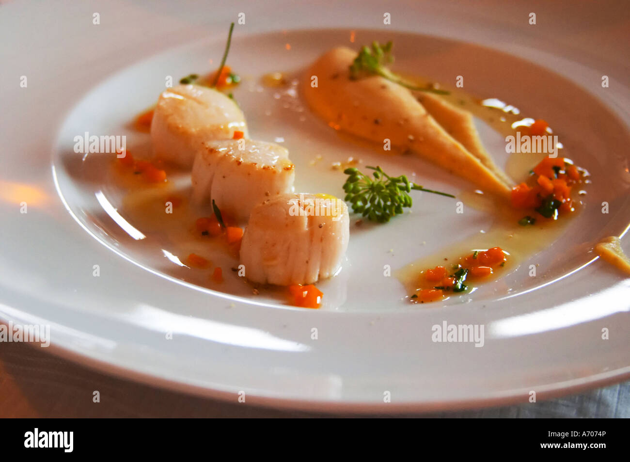 Sear fried scallops and parsnip on a white plate. The gastronomic