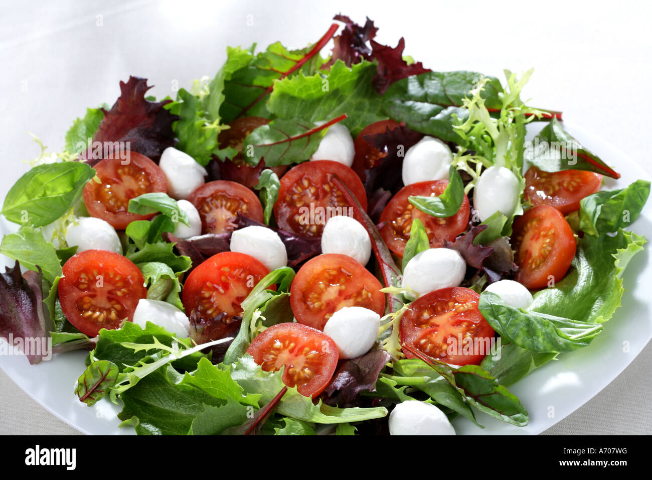 Salad with tomato mozzarella cheese assorted lettuces and basil Stock