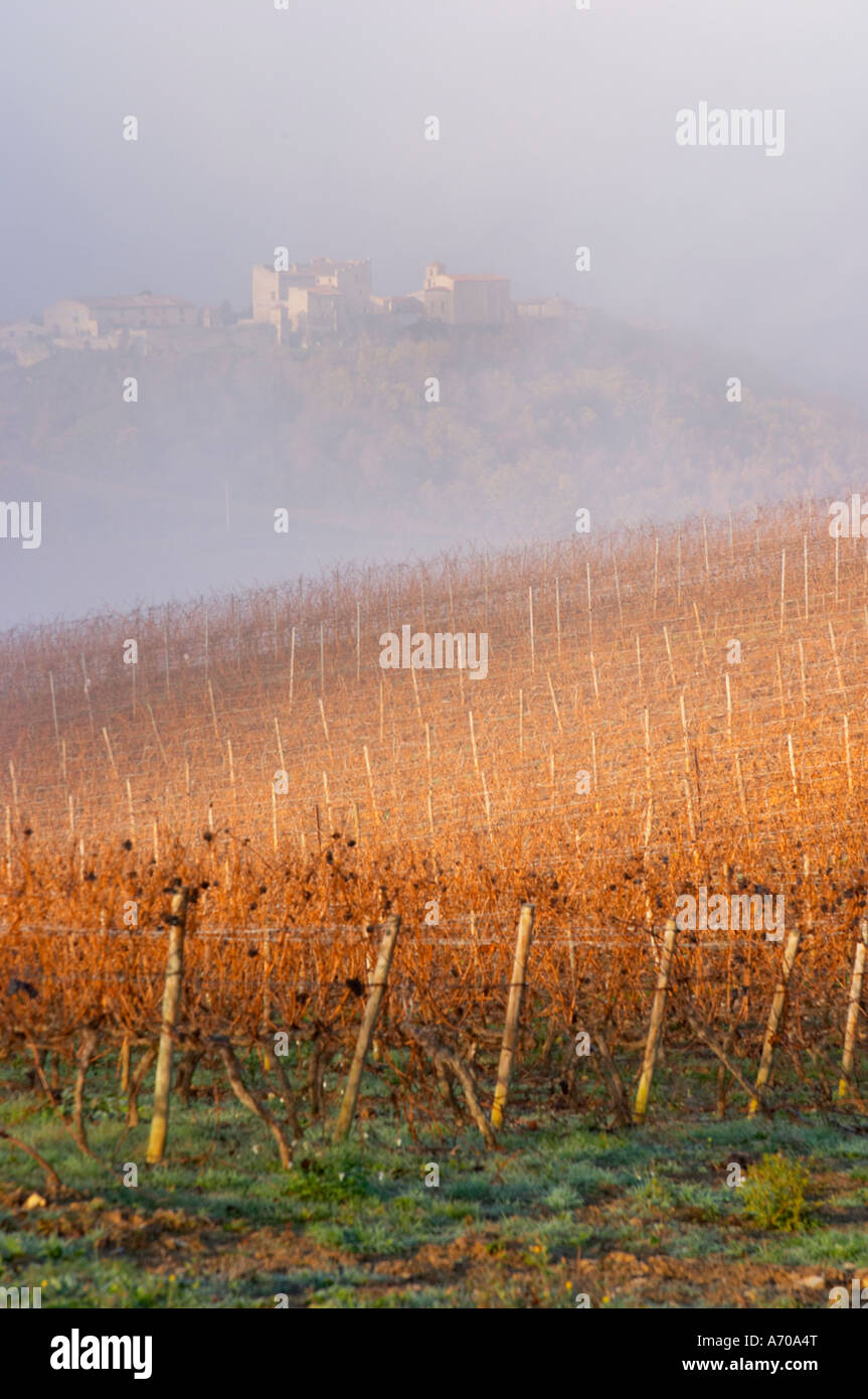 View over Roquetaillade village in morning mist clouds. Domaine Jean Louis Denois. Limoux. Languedoc. An early winter morning with mist still laying low and sunshine glowing golden. France. Europe. Vineyard. Stock Photo