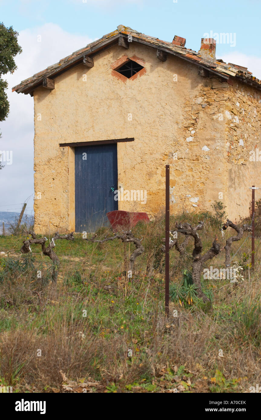 Domaine Alain Chabanon, previously Font Caude, in the Lagamas village. Montpeyroux. Languedoc. A tool shed hut in the vineyard. Stock Photo