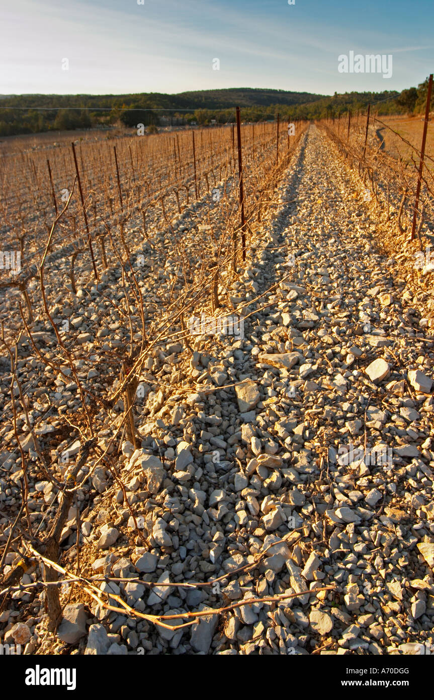 Domaine de Mas de Martin, St Bauzille de Montmel. Gres de Montpellier. Languedoc. Terroir soil. In the vineyard. France. Europe. Soil with stones rocks. Calcareous limestone. Stock Photo