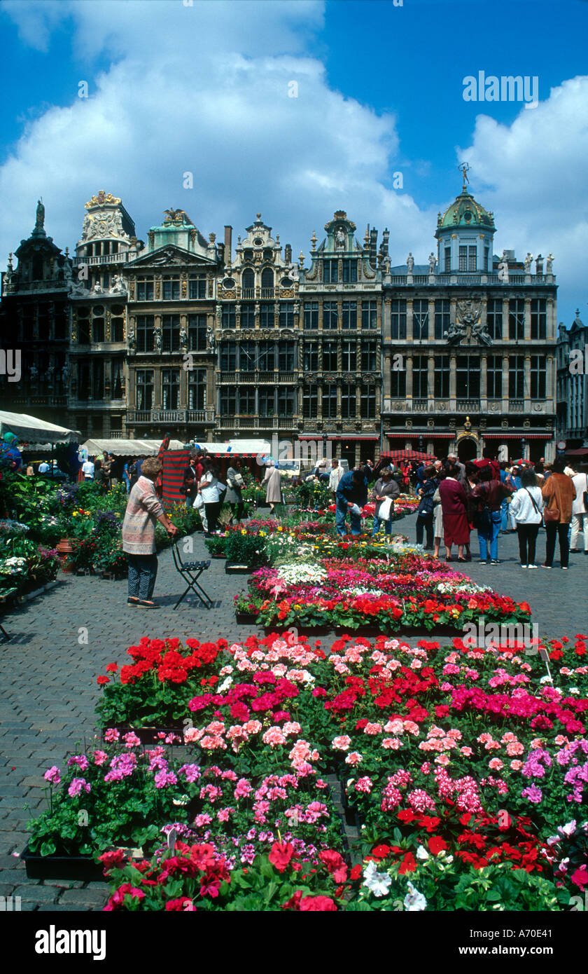 Grand Place Flower Market Brussels Belgium Stock Photo Alamy