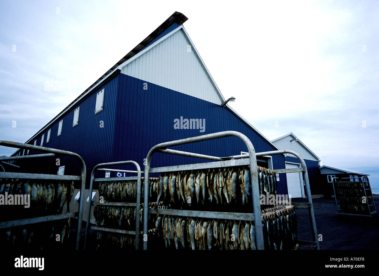Fish processing plant canada hires stock photography and images Alamy
