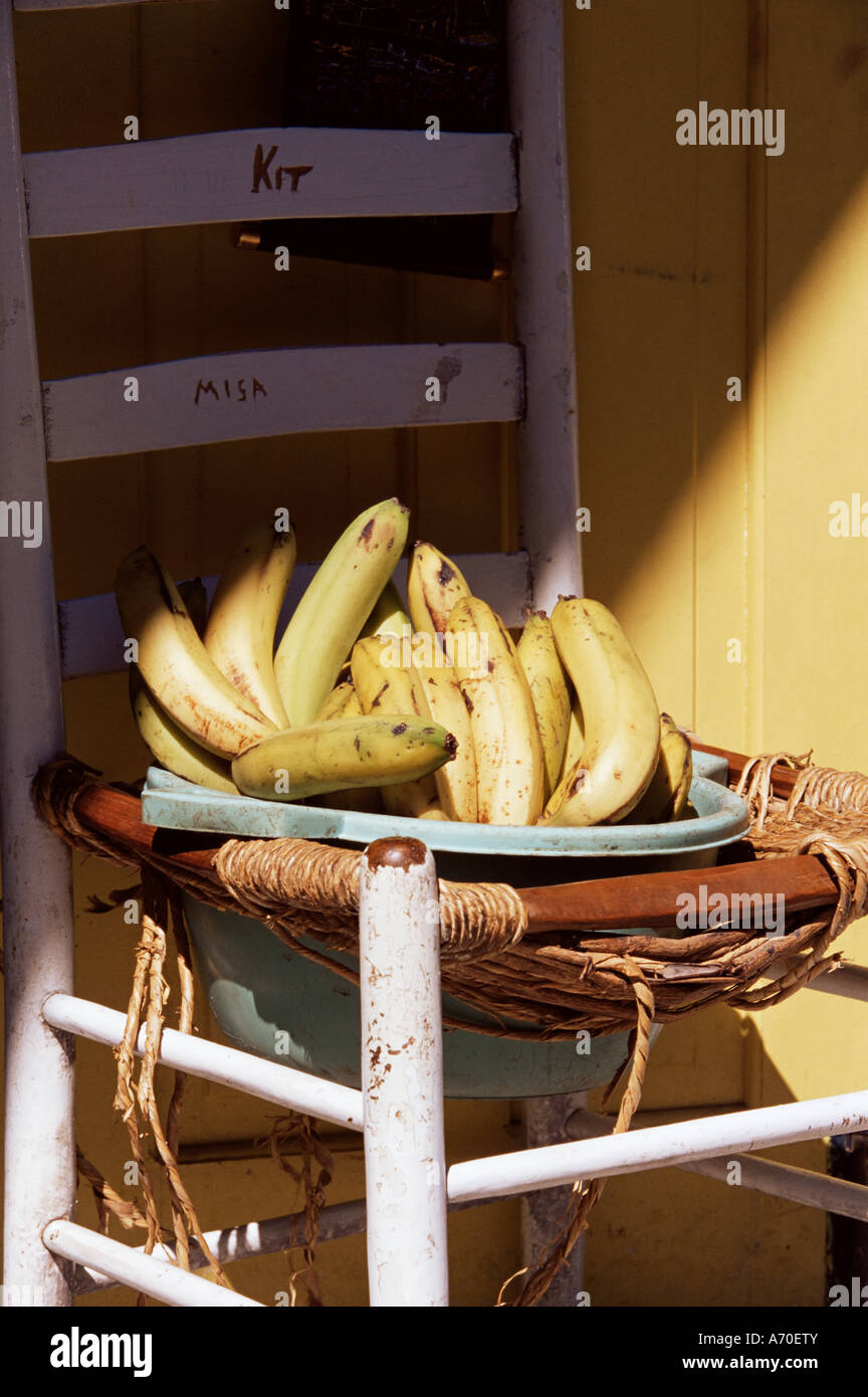 Bananas St Lucia Windward Islands West Indies Caribbean Central America