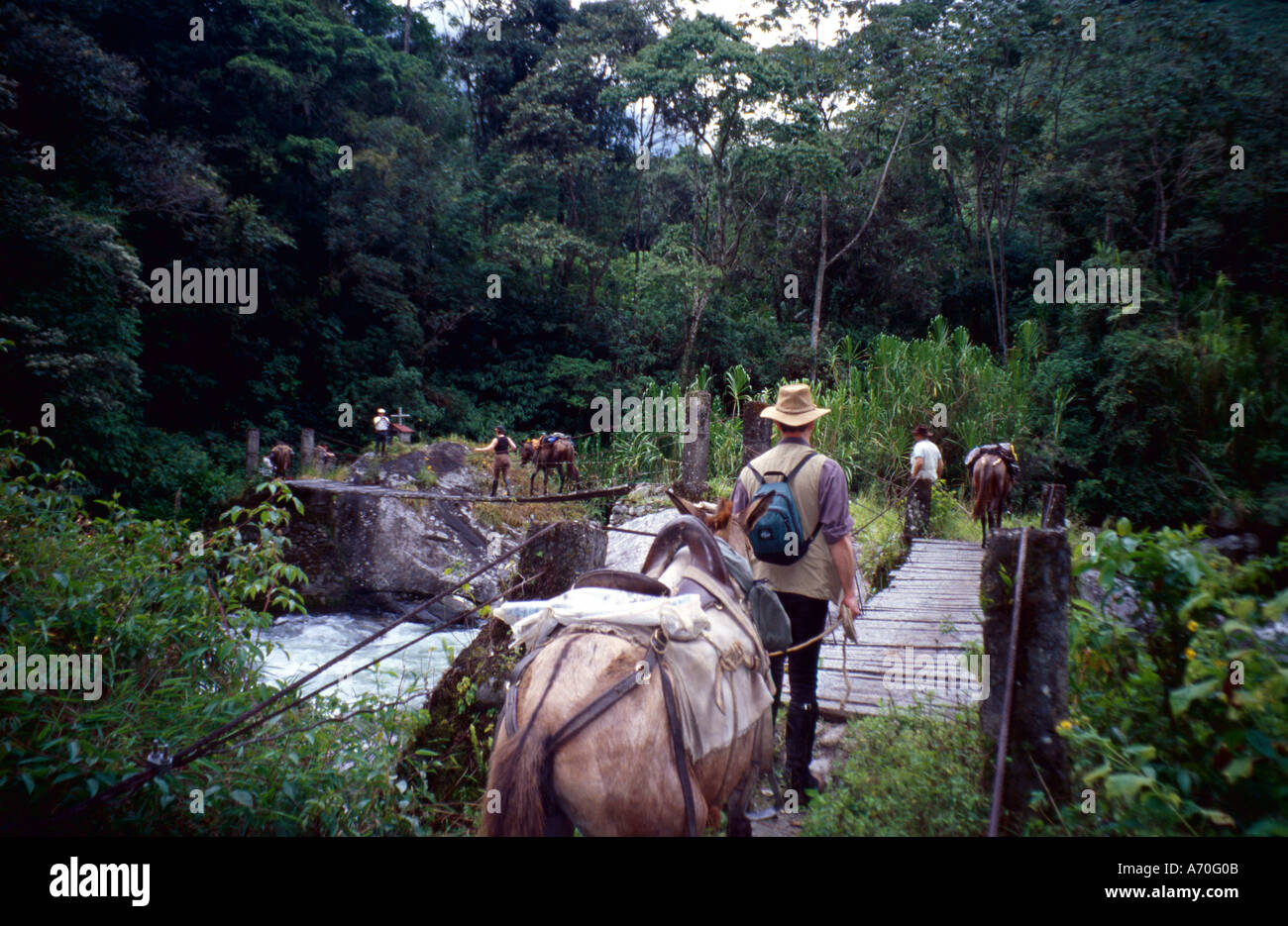The Canagua River followed much of our route and we led our mounts across its rickety bridges in single file  Stock Photo