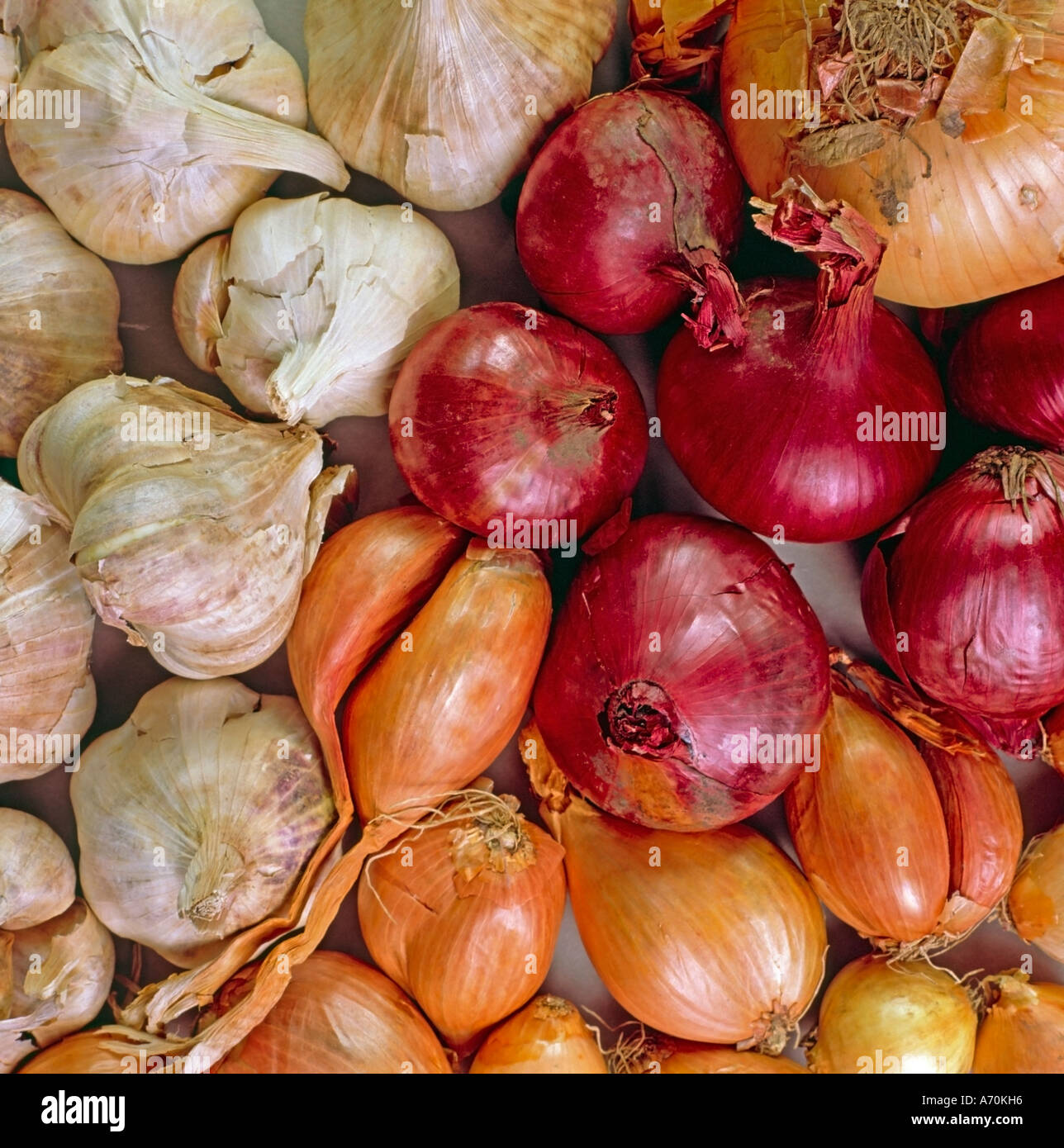 échalotes hi-res stock photography and images - Alamy