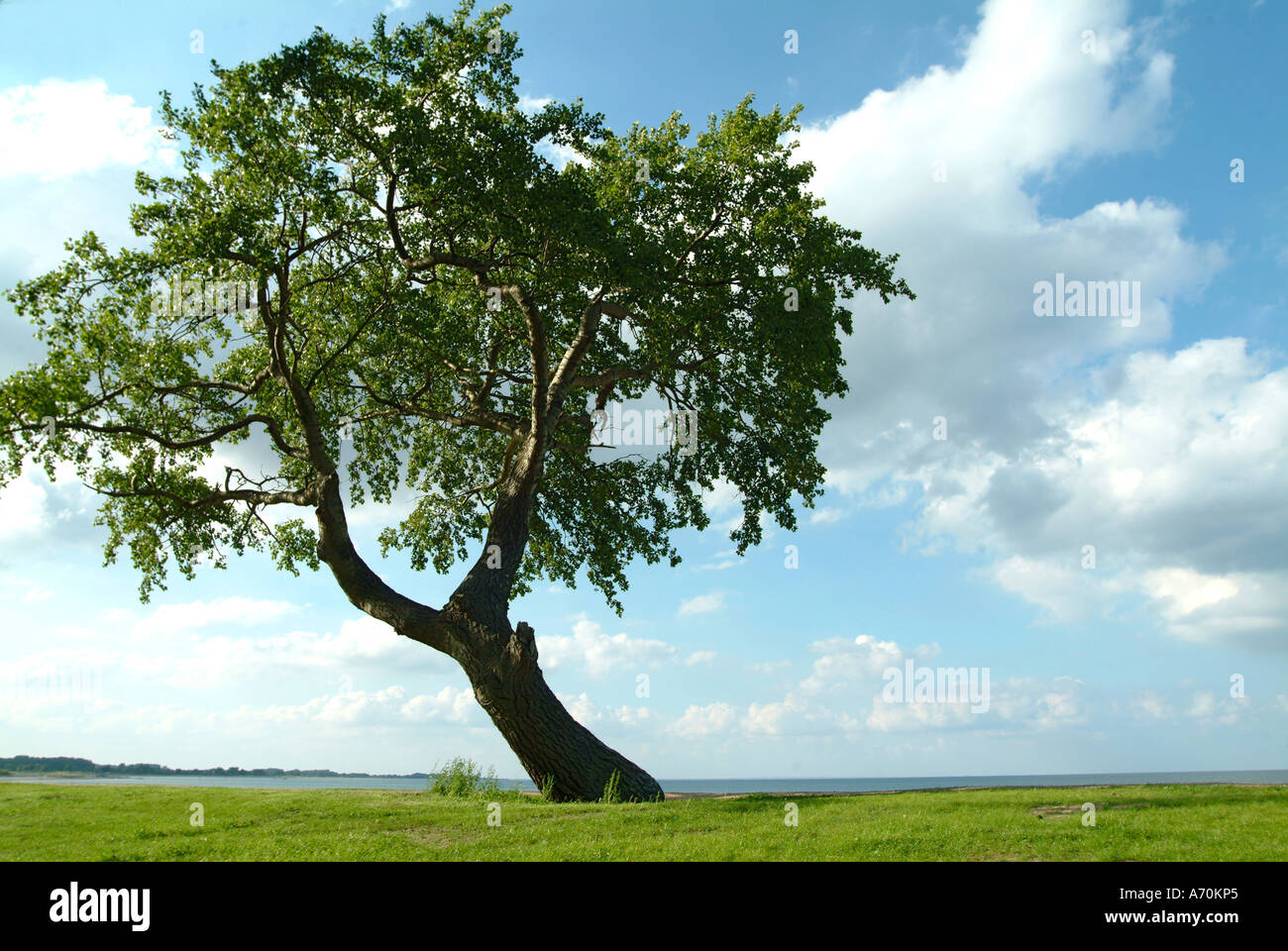 Old particular hi-res stock photography and images - Alamy