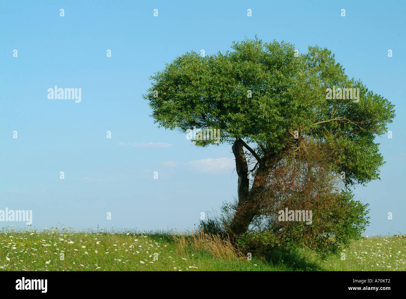 Old particular hi-res stock photography and images - Alamy