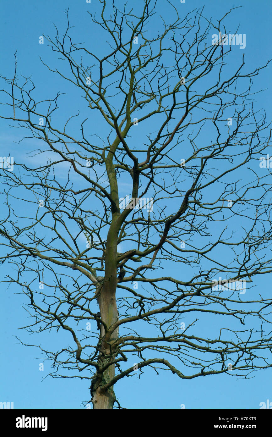 Old particular hi-res stock photography and images - Alamy
